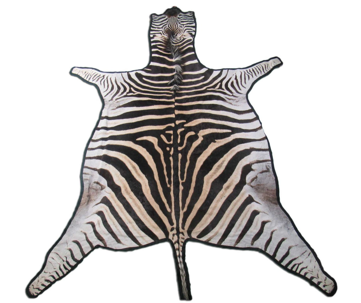 Felted Zebra Skin # 114 (beautiful but has a few scratches/Tail is around 36") Size: 8.5x7 feet