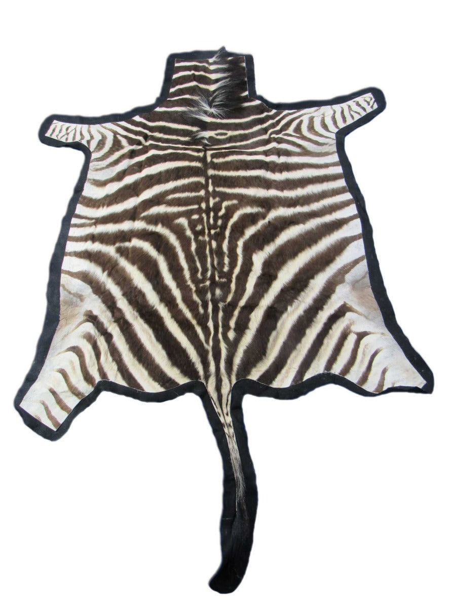 Real Zebra Skin Rug - Juvenile Size - BRAND NEW Burchell's Hide Zebra Rug - Size: 57"x52" (Tail is 21") #116