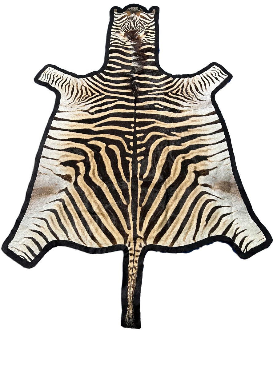 Felted Zebra Skin (Some natural scratches in the middle/29" tail) Size: 8x6 feet # 119