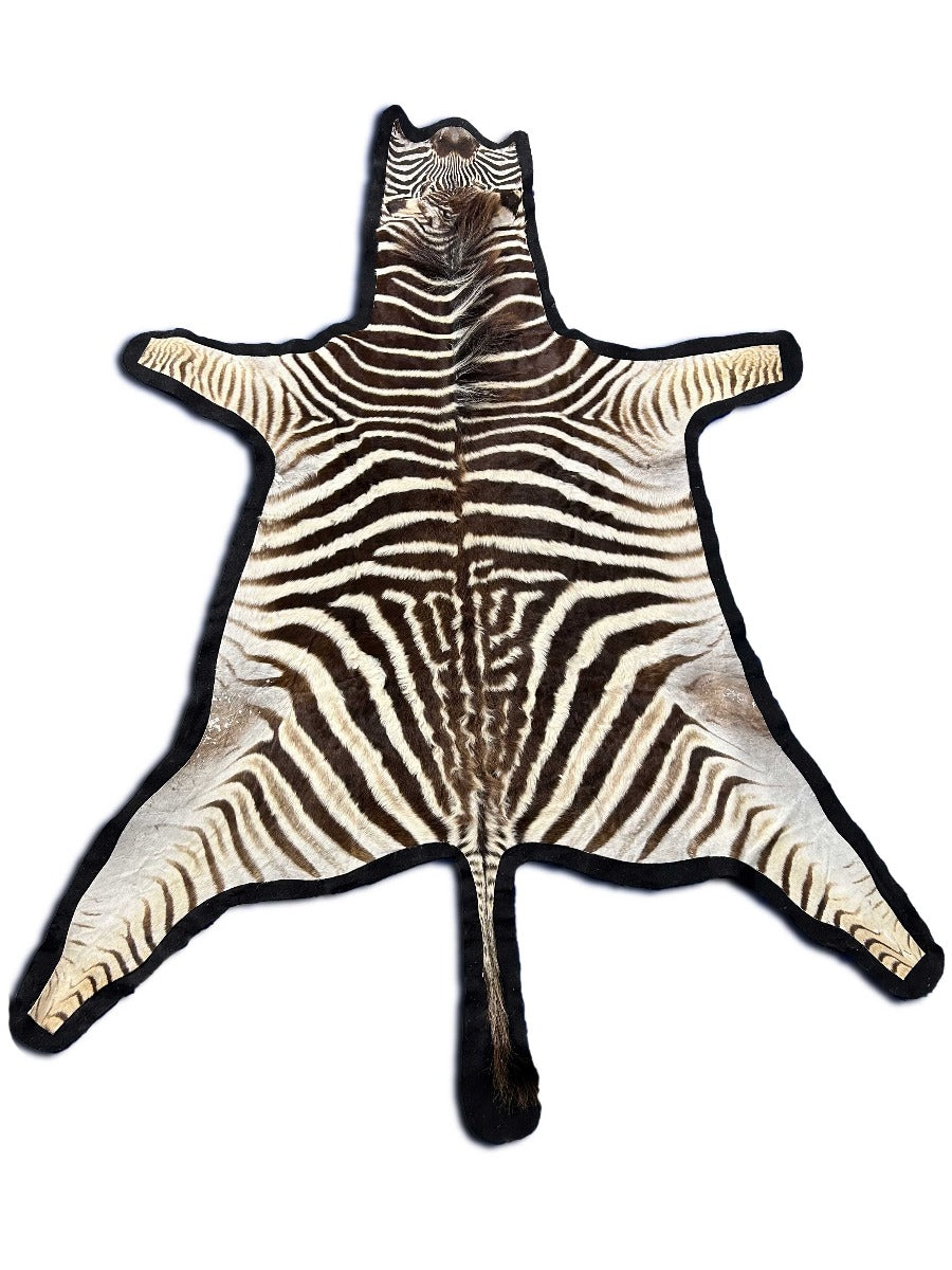 Juvenile Zebra Cowhide Rug (Tail is 19") Size: 6x5.2 feet # 138