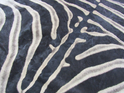 Real Zebra Skin Rug Size: 8' X 6 2/3' Burchell's Hide Zebra Rug 90