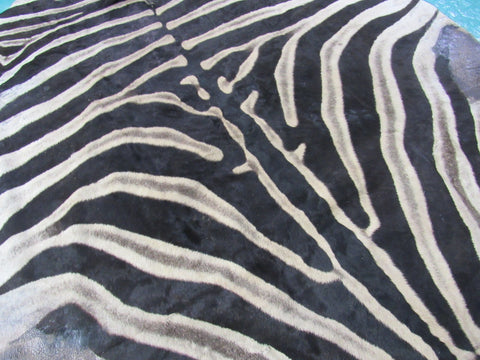 Real Zebra Skin Rug Size: 8' X 6 2/3' Burchell's Hide Zebra Rug 90