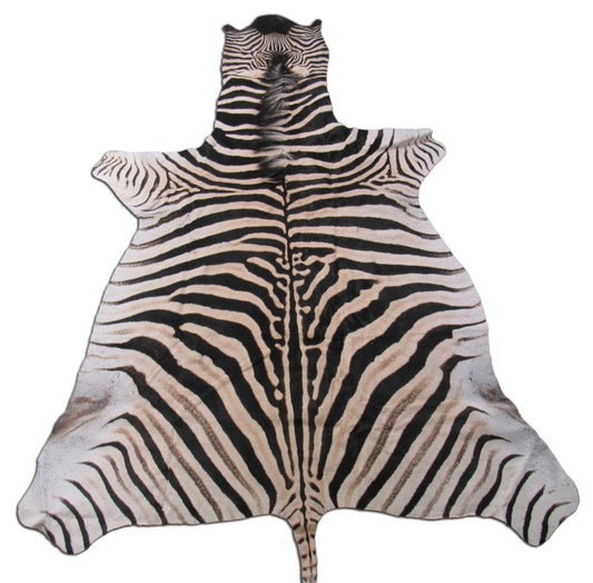 Real Zebra Skin Rug BRAND NEW Burchell's Hide Zebra A Grade - 8x6 feet #98