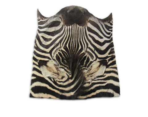 Zebra Face # 2 Size: 19x17"